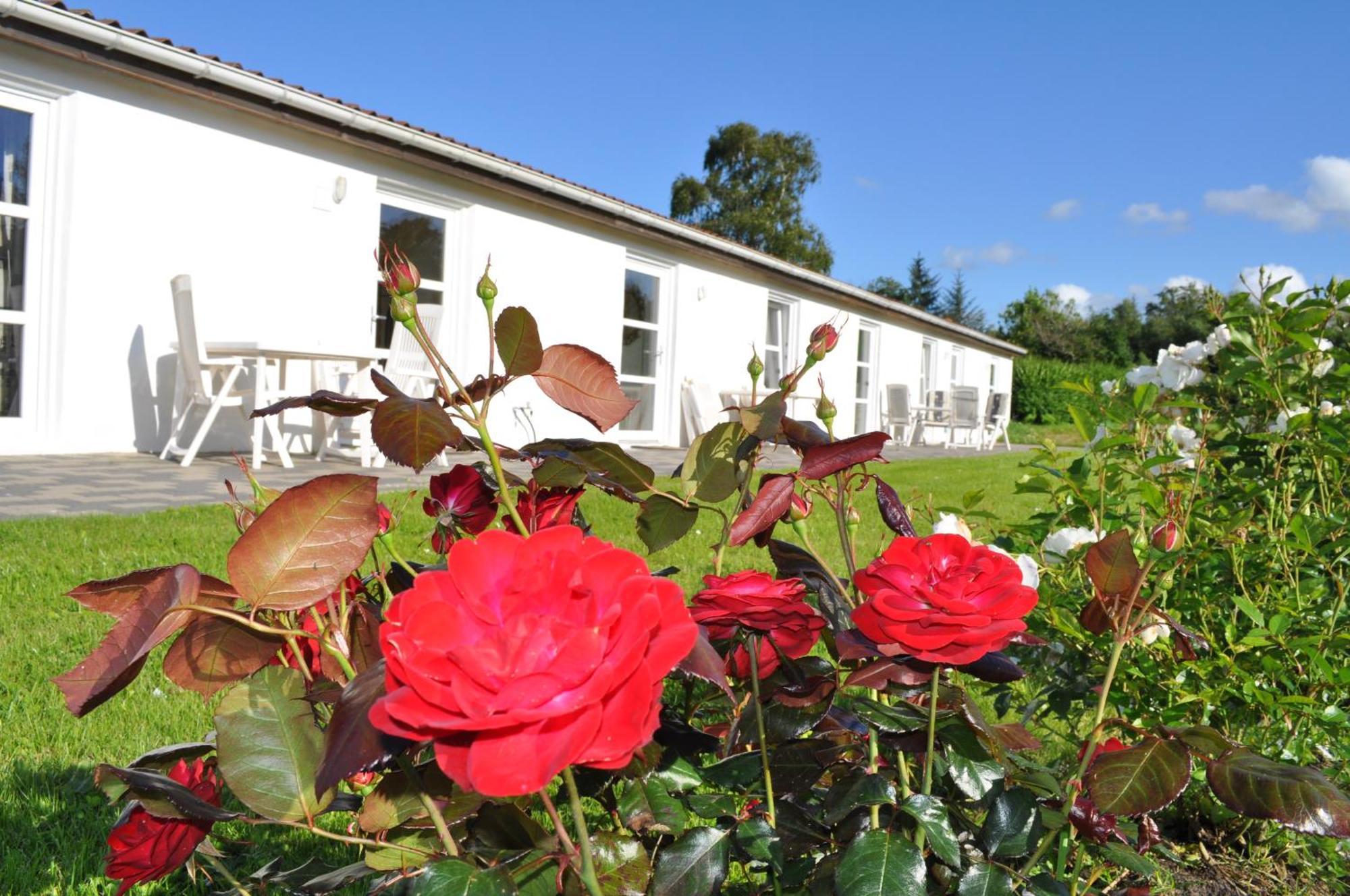 Koebenhovedskov Bed & Breakfast Rodding Exterior photo